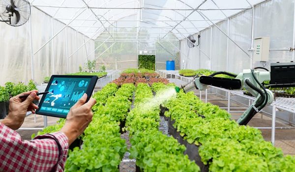 smart-farming-agriculture-du-futur-iot